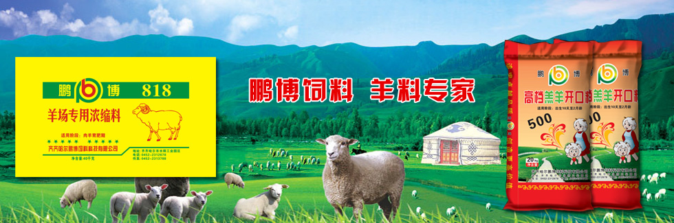 鵬博飼料，羊料專(zhuān)家